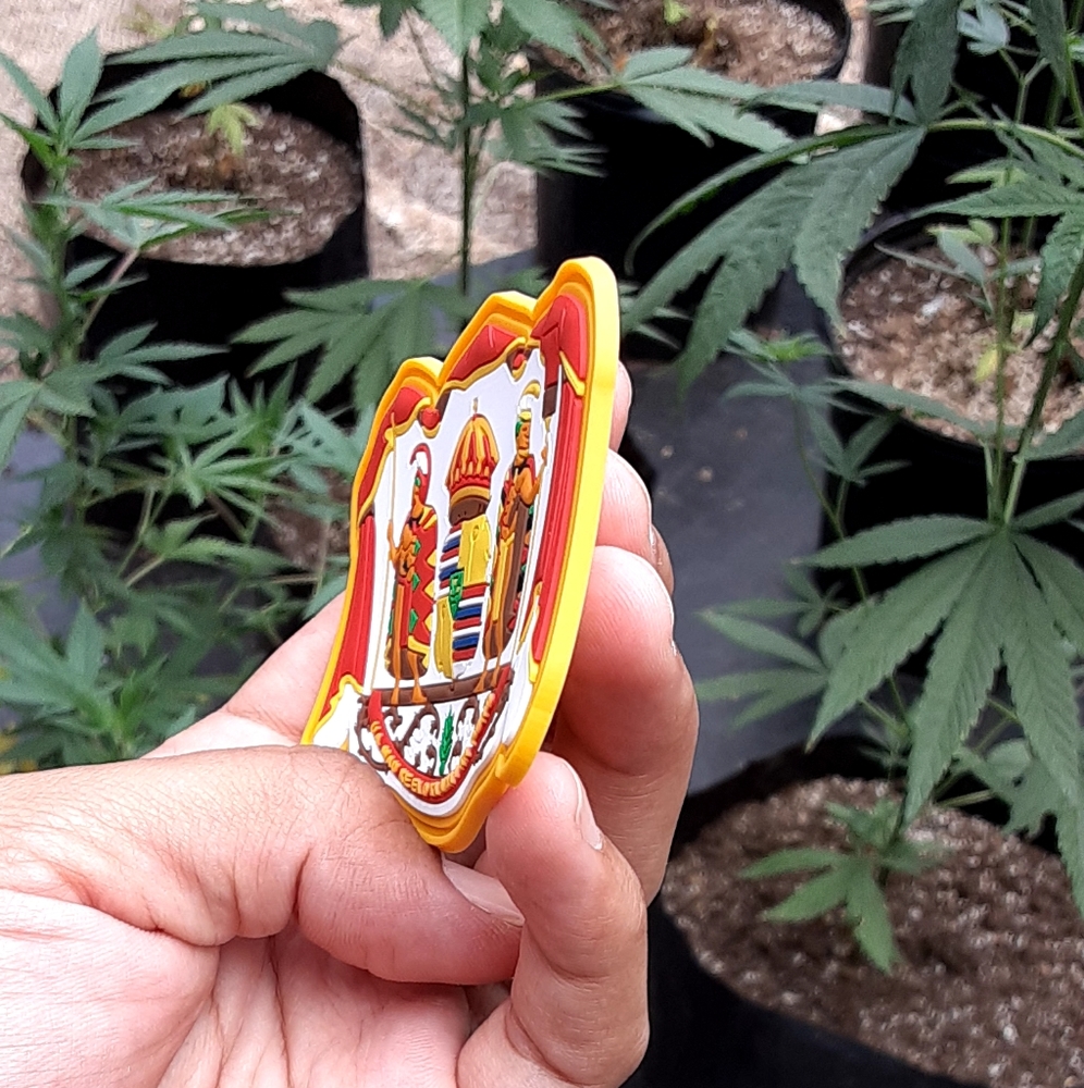 Rubber Hawaiian Kingdom Patch - Picture 2 of 3
